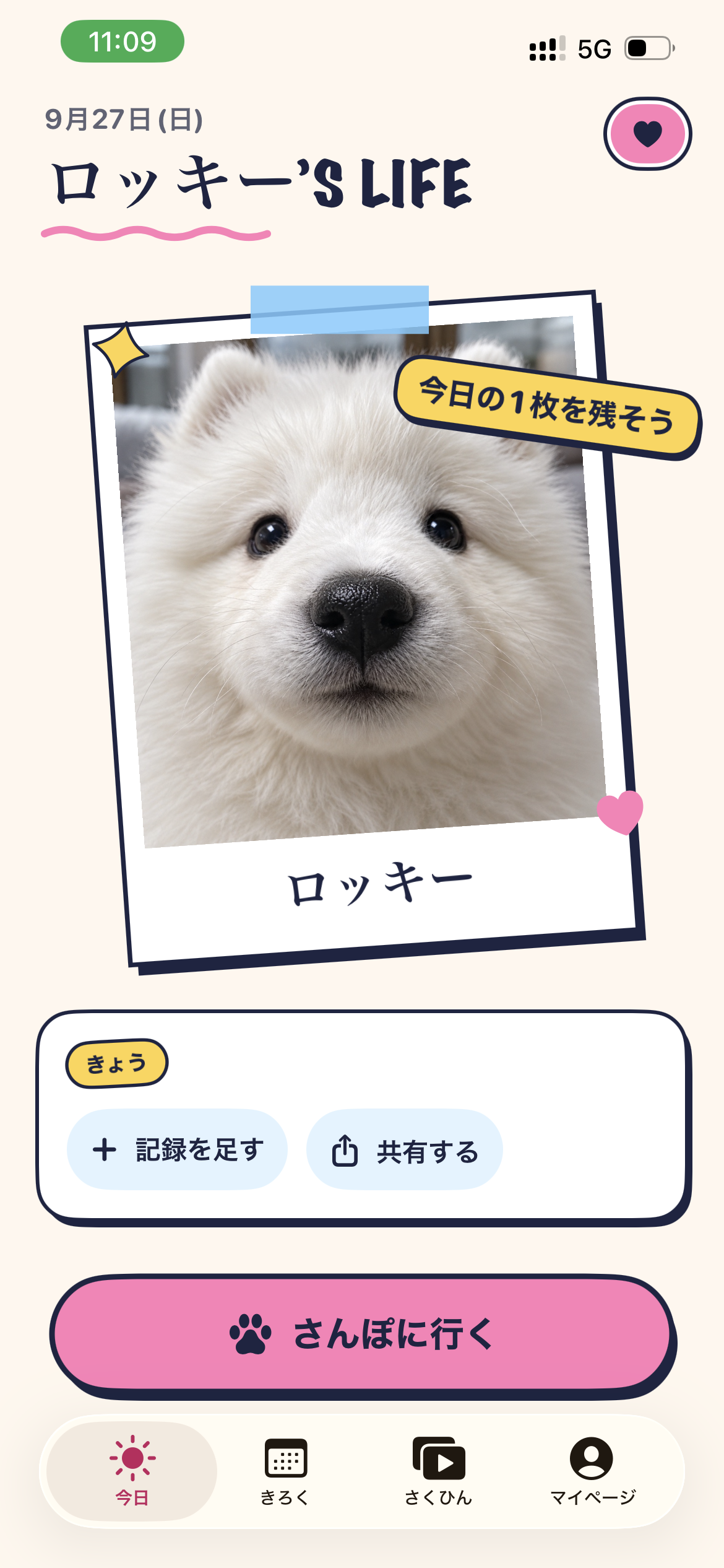 サモエドの子犬の画像とロッキーという名前を登録した、HARRY’S LIFEの今日画面